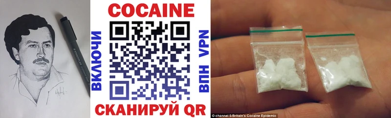 Cocaine FishScale  Купить закладки  Людиново 
