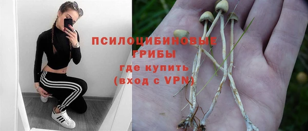 соль ск Балахна