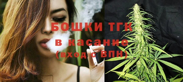 крисы Аркадак