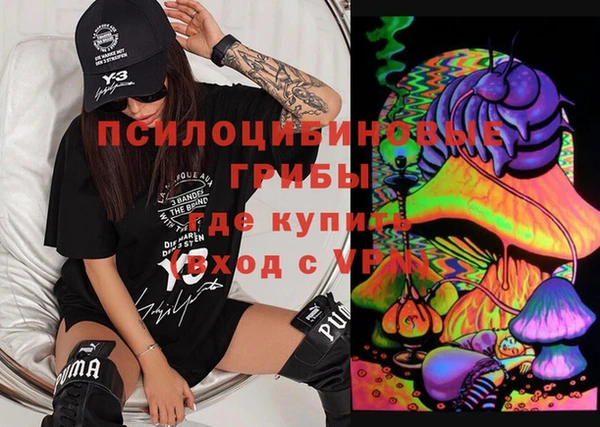 стафф Баксан