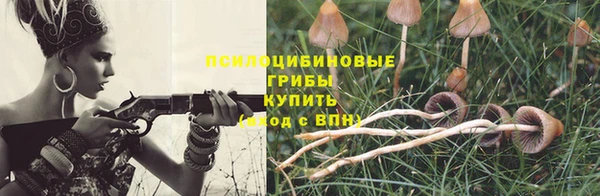 соль ск Балахна