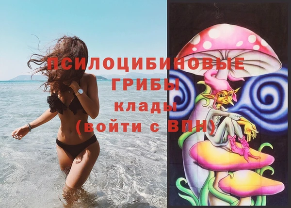 стафф Баксан