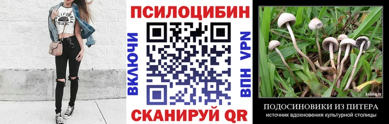 Псилоцибиновые грибы Psilocybe  Купить где  Людиново 